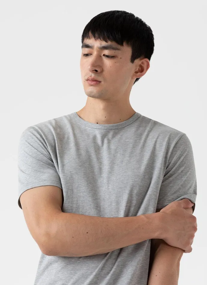 Classic Tshirt Grey Melange Men SUNSPEL Tshirts