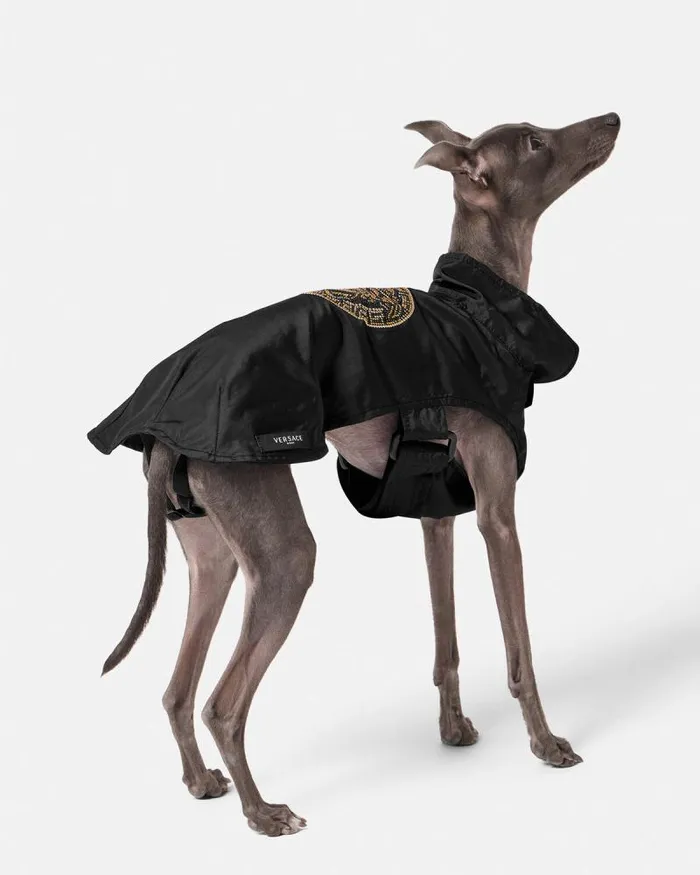Crystal Medusa Small Pet Raincoat Black Home and Lifestyle Versace Pet Accessories