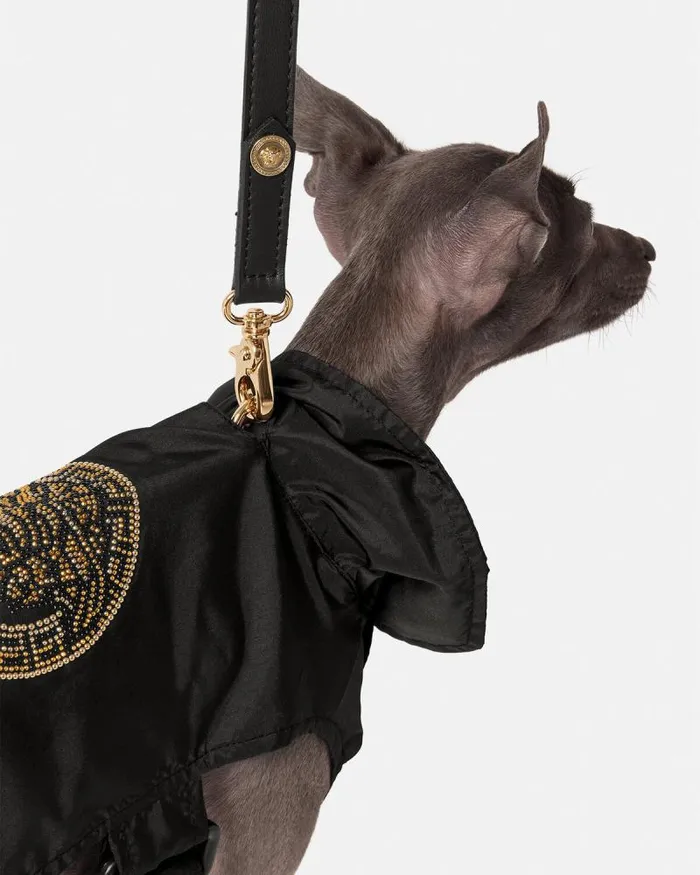 Crystal Medusa Small Pet Raincoat Black Home and Lifestyle Versace Pet Accessories