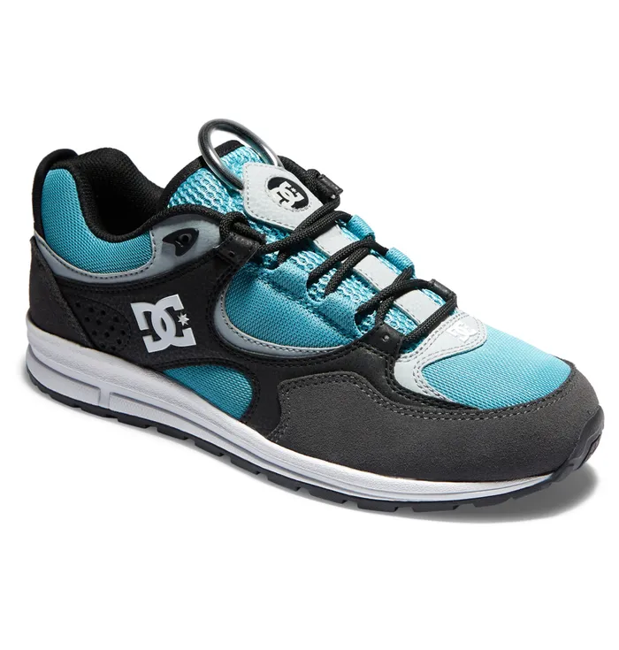 DC Shoes Skate Men Kalis Lite Skate Shoes blackgreyblue