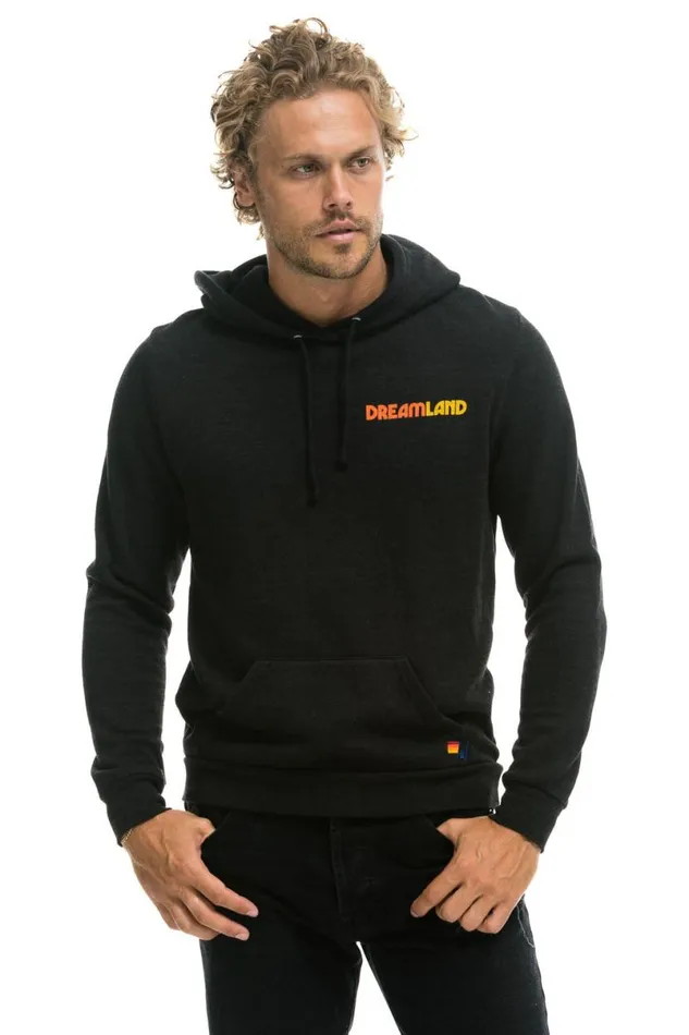 Dreamland Logo Pullover Hoodie 8211 Black WomenMen Aviator Nation Hoodies