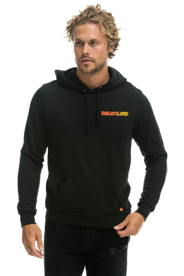 Dreamland Logo Pullover Hoodie 8211 Black WomenMen Aviator Nation Hoodies