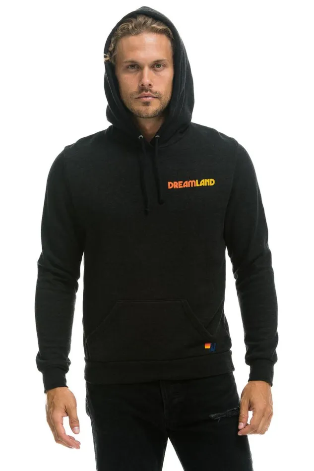 Dreamland Logo Pullover Hoodie 8211 Black WomenMen Aviator Nation Hoodies