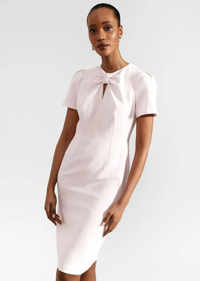 Dresses and Jumpsuits Women HOBBS Carolina Dress Pale Pink