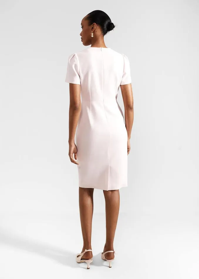 Dresses and Jumpsuits Women HOBBS Carolina Dress Pale Pink