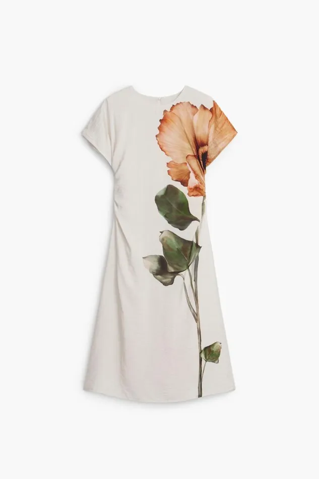 Dresses And Jumpsuits Women Desigual Flower Dress Brown