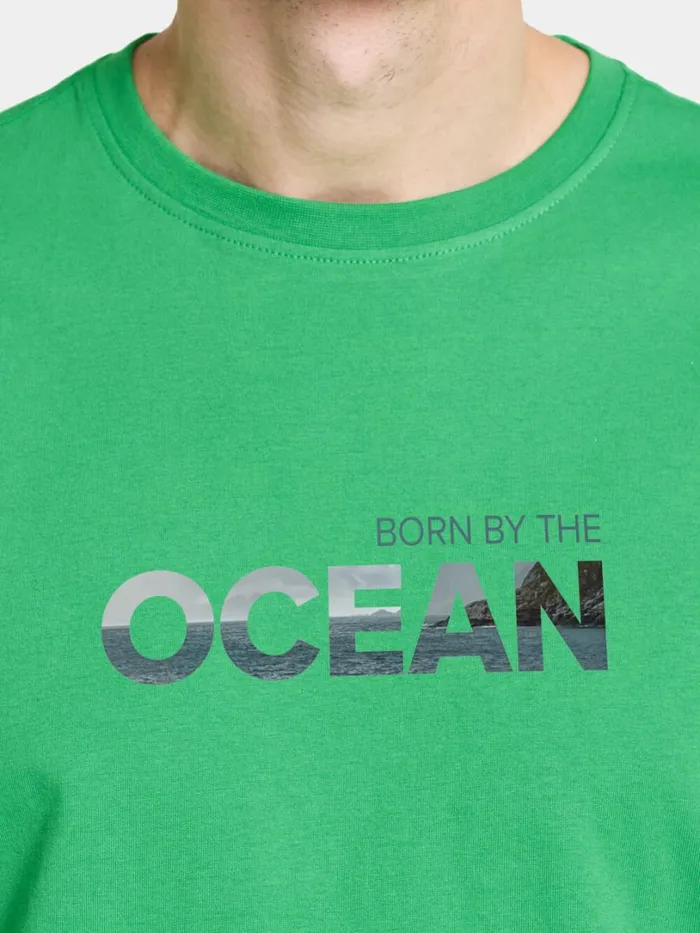 Harald Men039s Tshirt Ocean Summer Green Men Didriksons Tshirts and Polos
