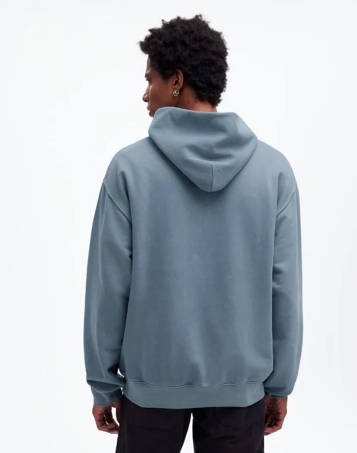 Hoodies and Sweatshirts Men Madewell The McCarren Midweight Hoodie Sweatshirt Teapot Blue