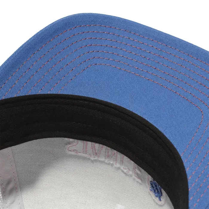 Icon Trucker Hat Royal MenWomenKids Stance Hats and Beanies