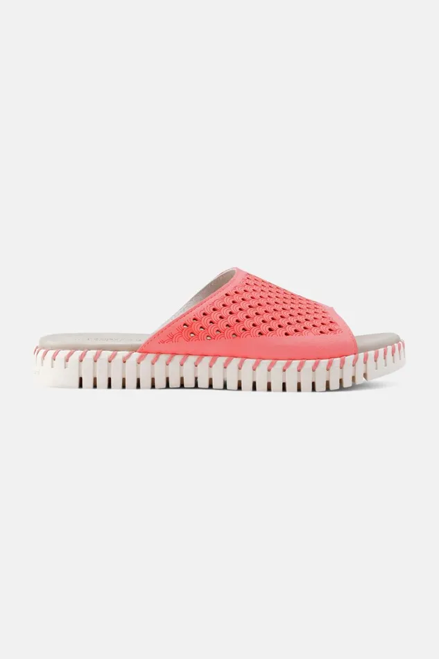 Ilse Jacobsen Sandals 8211 Raspberry Women Sandals Ilse Jacobsen Sandals 8211 Raspberry Women Sandals
