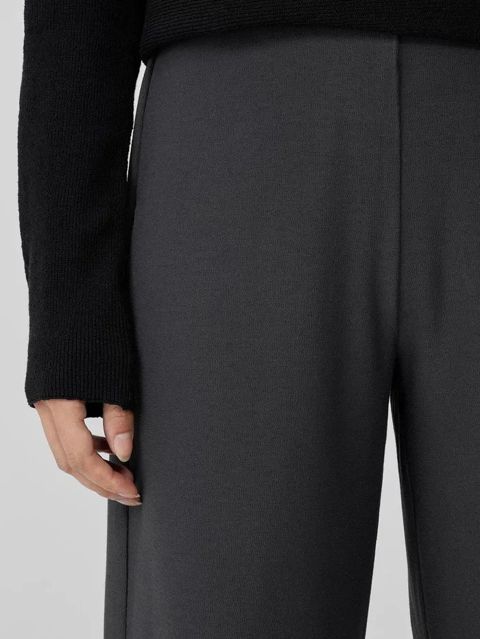 Pants Shorts and Jumpsuits Women Eileen Fisher Washable Stretch Crepe WideLeg Pant Graphite