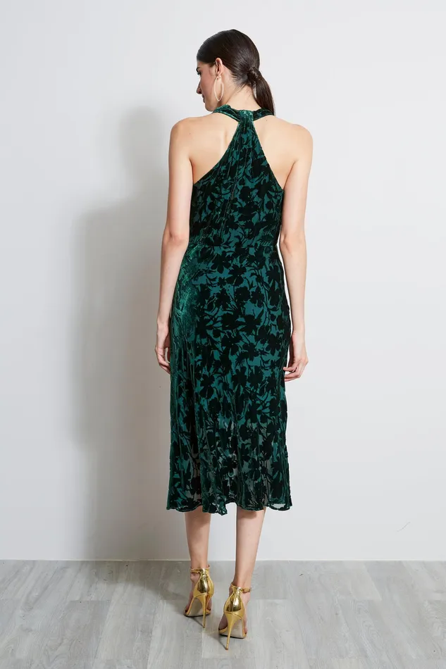 Sleeveless Dresses Women Elie Tahari Burn Out Velvet Halter Dress BOTTLE GREEN