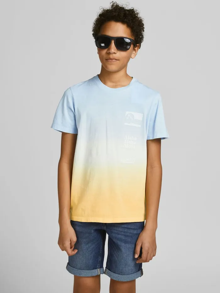 Tshirts JACK and JONES Junior BOYS DIP DYE PRINT TSHIRT Pastel Angel Falls On Sale