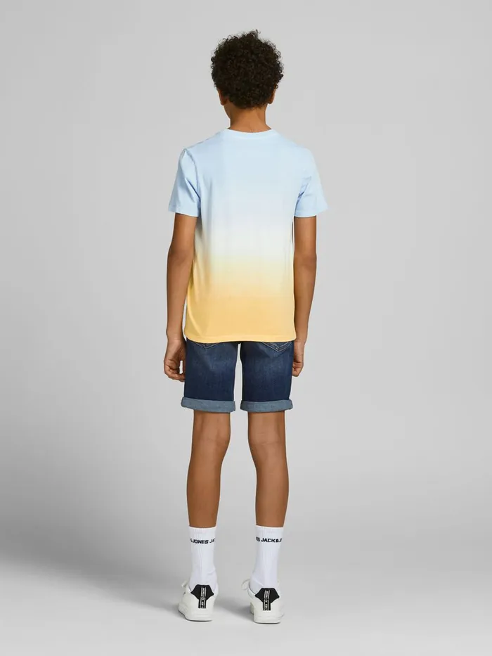Tshirts JACK and JONES Junior BOYS DIP DYE PRINT TSHIRT Pastel Angel Falls On Sale