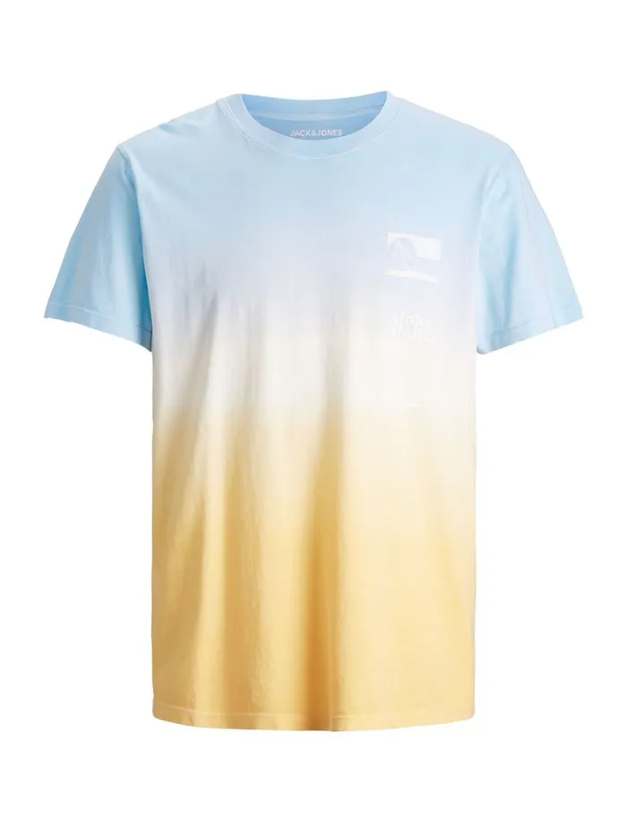 Tshirts JACK and JONES Junior BOYS DIP DYE PRINT TSHIRT Pastel Angel Falls On Sale