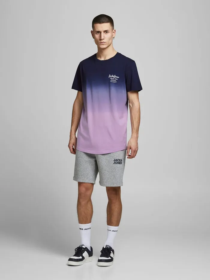 Tshirts JACK and JONES Mens CREW NECK TSHIRT Purple Lavendula Gift 4 You
