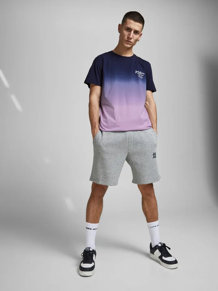 Tshirts JACK and JONES Mens CREW NECK TSHIRT Purple Lavendula Gift 4 You