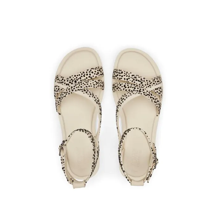 Toms Sandals Rory Sandal Mini Cheetah 8211 Women Toms Sandals Rory Sandal Mini Cheetah 8211 Women