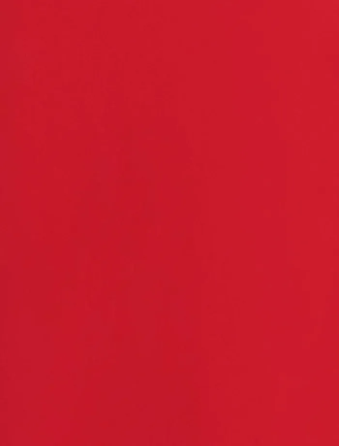 Women Beatrix Mock Neck Gown Carmine Red BCBG Dresses Women Beatrix Mock Neck Gown Carmine Red BCBG Dresses