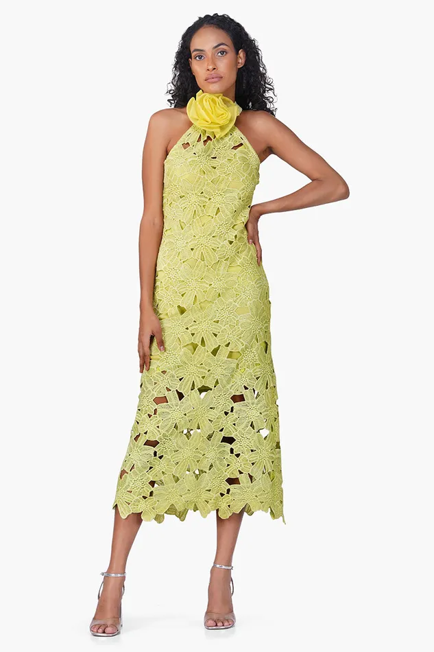 Women Fall For Neon Crosage Floral Halter Dress Dresses America and Beyond