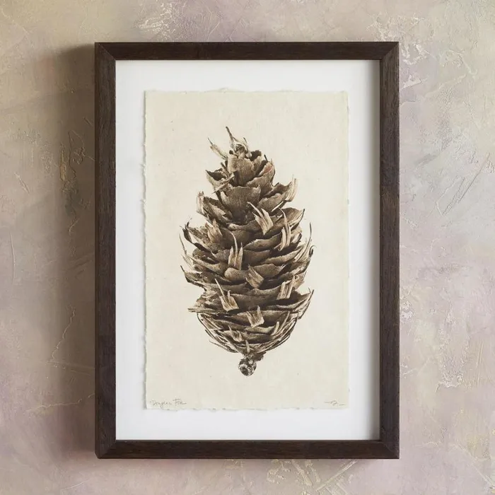 Women Pinecone Studies Print Ldgeplepin Sundance Catalog Decor Women Pinecone Studies Print Ldgeplepin Sundance Catalog Decor