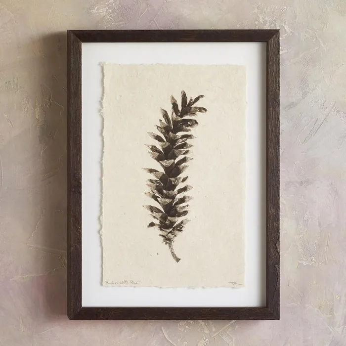 Women Pinecone Studies Print Ldgeplepin Sundance Catalog Decor Women Pinecone Studies Print Ldgeplepin Sundance Catalog Decor