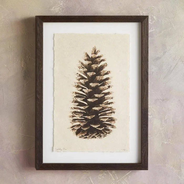 Women Pinecone Studies Print Ldgeplepin Sundance Catalog Decor Women Pinecone Studies Print Ldgeplepin Sundance Catalog Decor