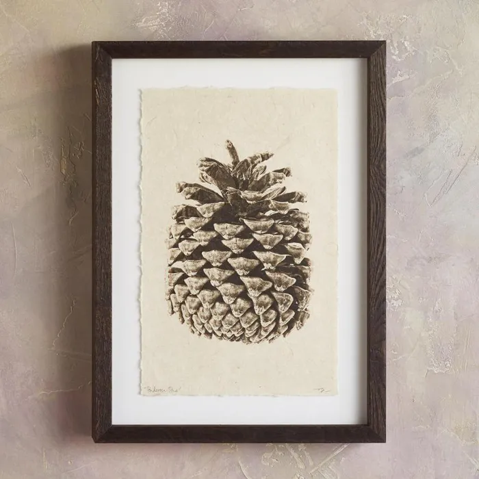 Women Pinecone Studies Print Ldgeplepin Sundance Catalog Decor Women Pinecone Studies Print Ldgeplepin Sundance Catalog Decor