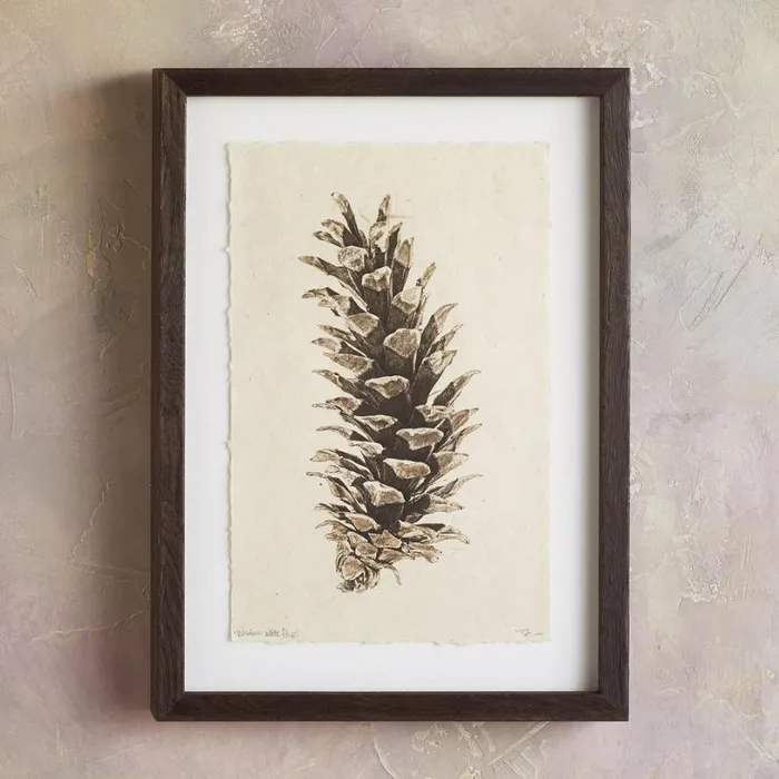 Women Pinecone Studies Print Ldgeplepin Sundance Catalog Decor Women Pinecone Studies Print Ldgeplepin Sundance Catalog Decor