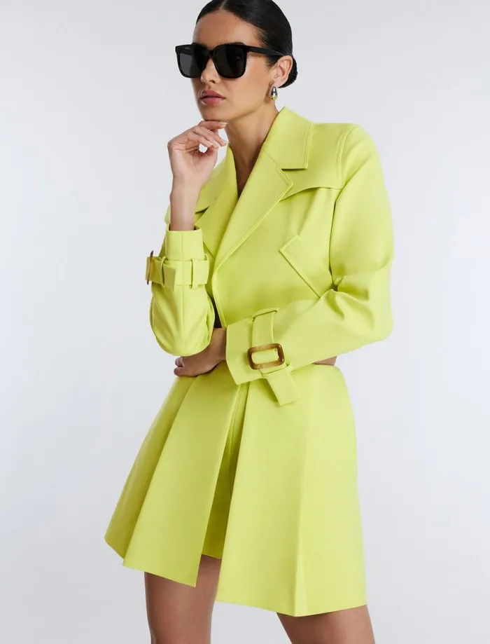 Women Pleated Skort Yellow Plum BCBG Suiting Women Pleated Skort Yellow Plum BCBG Suiting