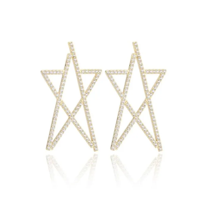 Women Vintage Havana Earrings CLARA Earrings