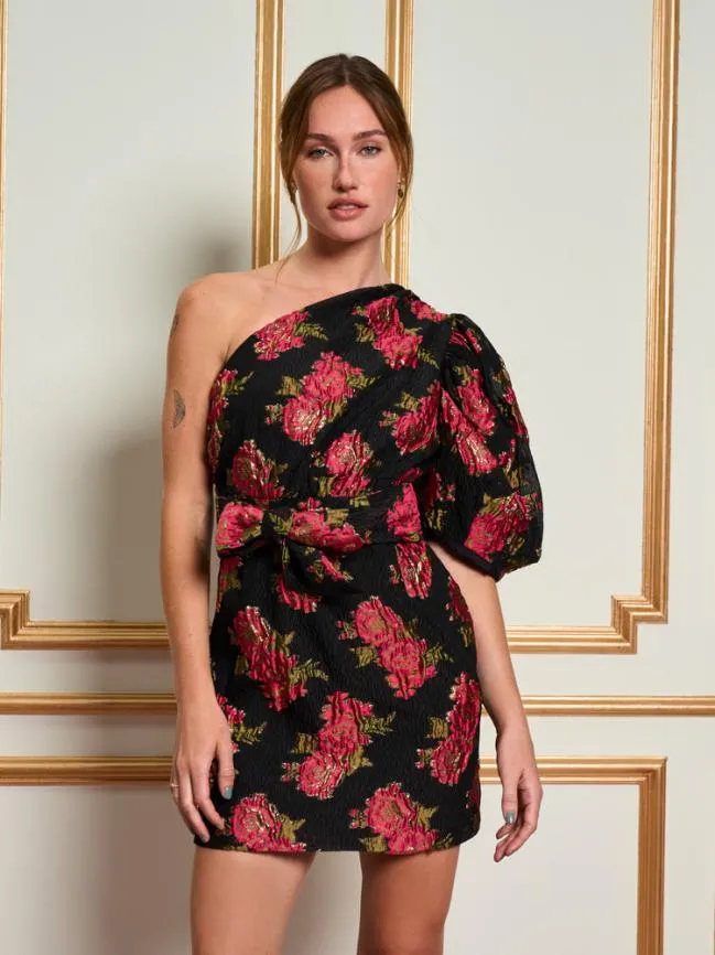 Womenswear DREAM Begonia Jacquard Mini Dress Ink Black Sister Jane