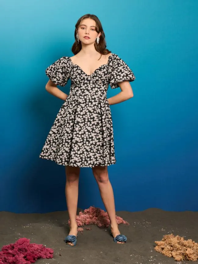 Womenswear Pearl Marina Mini Dress Black Daisy Sister Jane Womenswear Pearl Marina Mini Dress Black Daisy Sister Jane